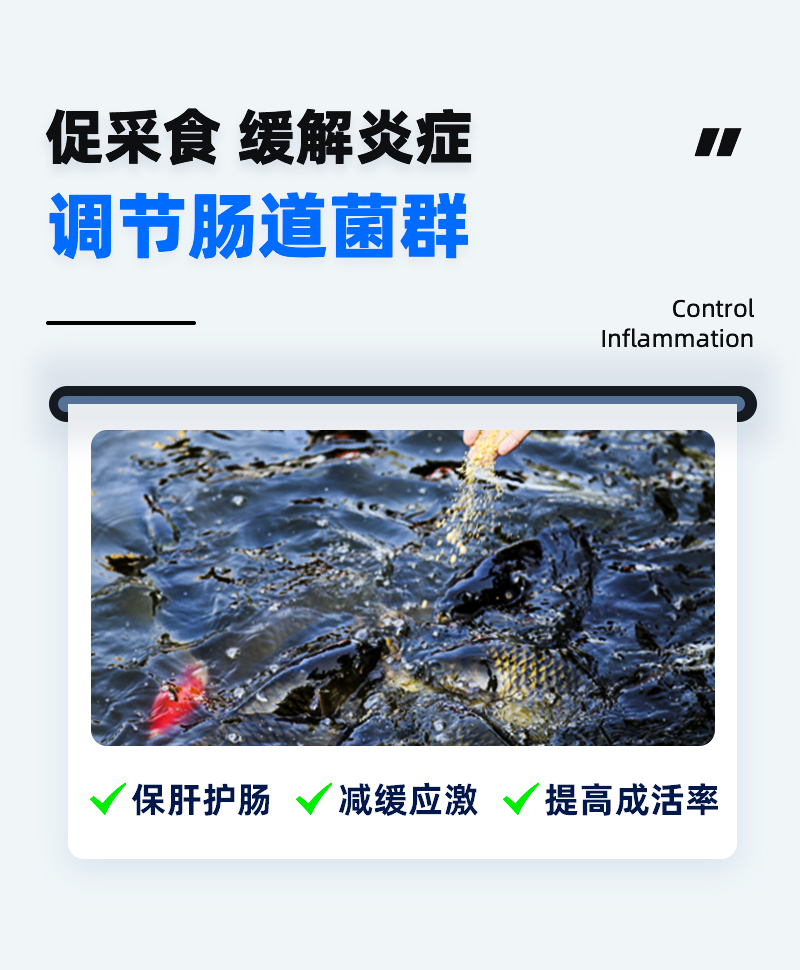 博炎宁_03.jpg
