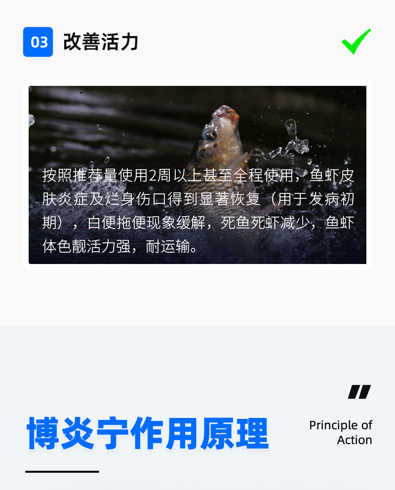 博炎宁_05.jpg