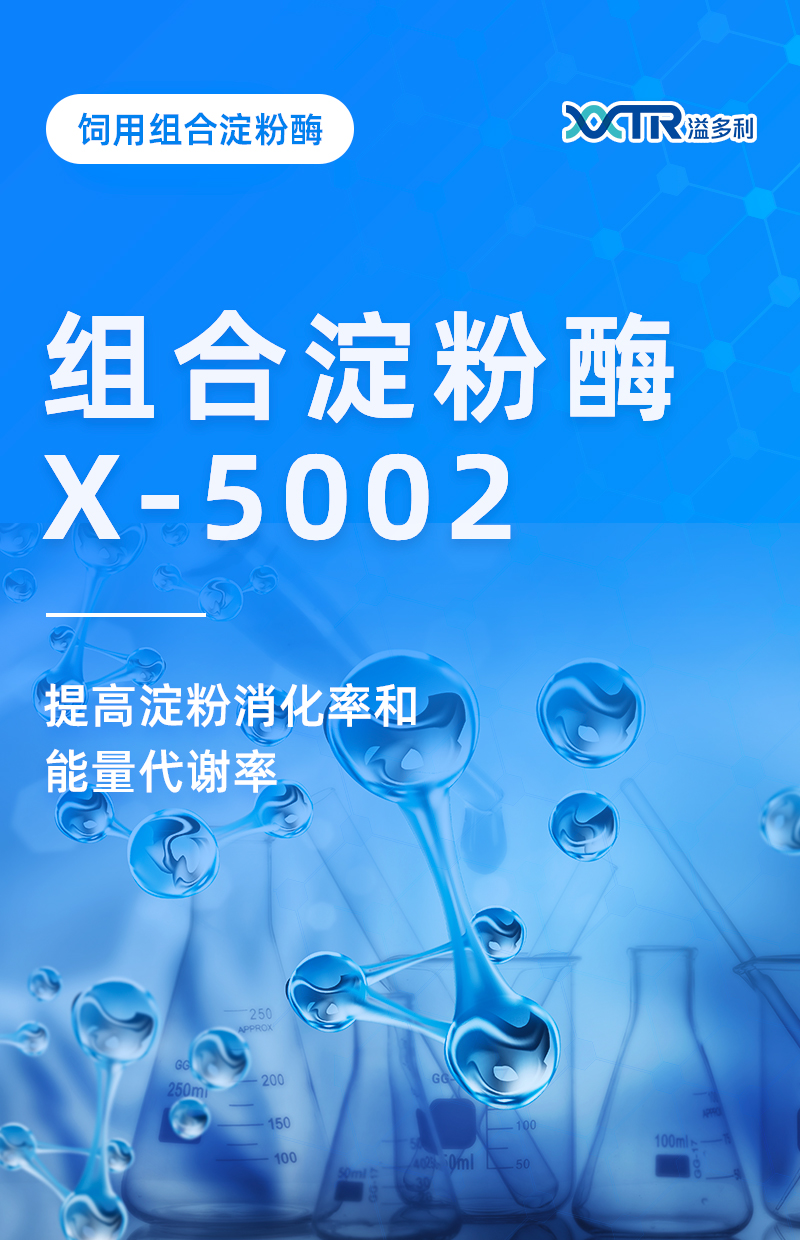 X-5002_01.jpg