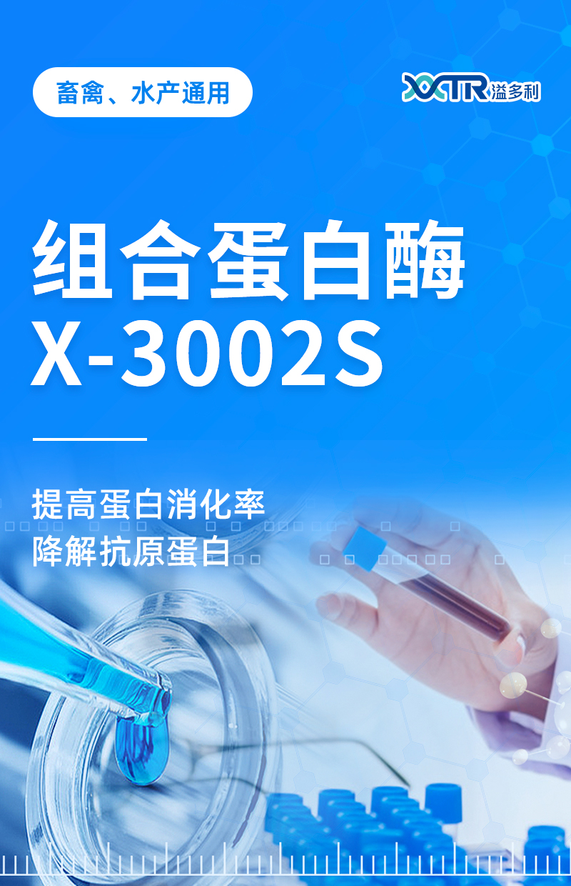 2-1-X-3002_01.jpg
