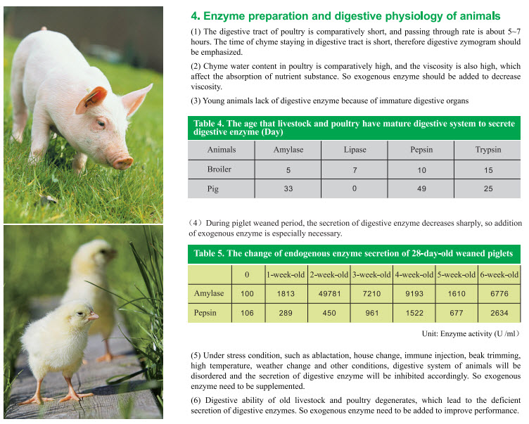 Yiduozyme Powder Multi Activity Feed Enzyme Series Guangdong VTR BIO yiduozyme-powder-multi-activity-feed-enzyme-series-guangdong-vtr-bio