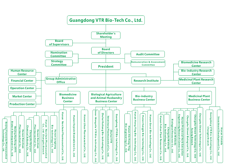 Holding Company Structure Chart