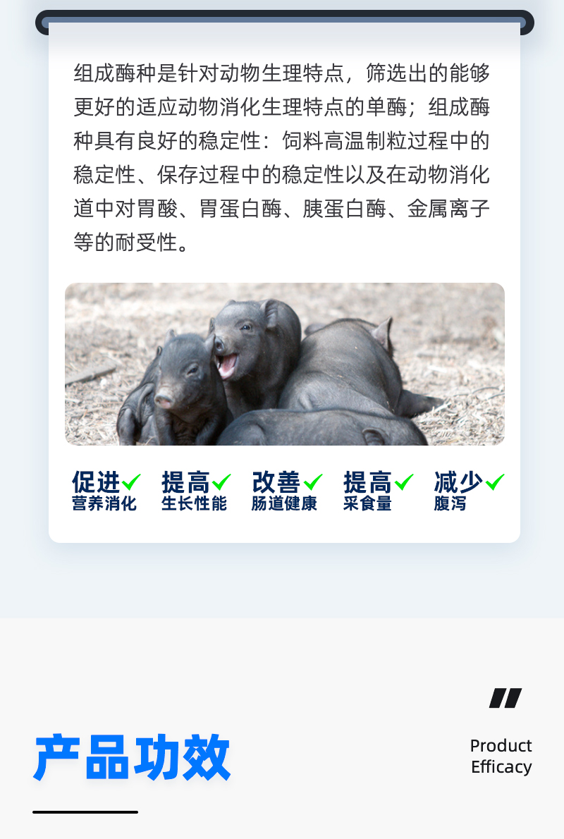 乳仔猪专用复合酶_03.jpg