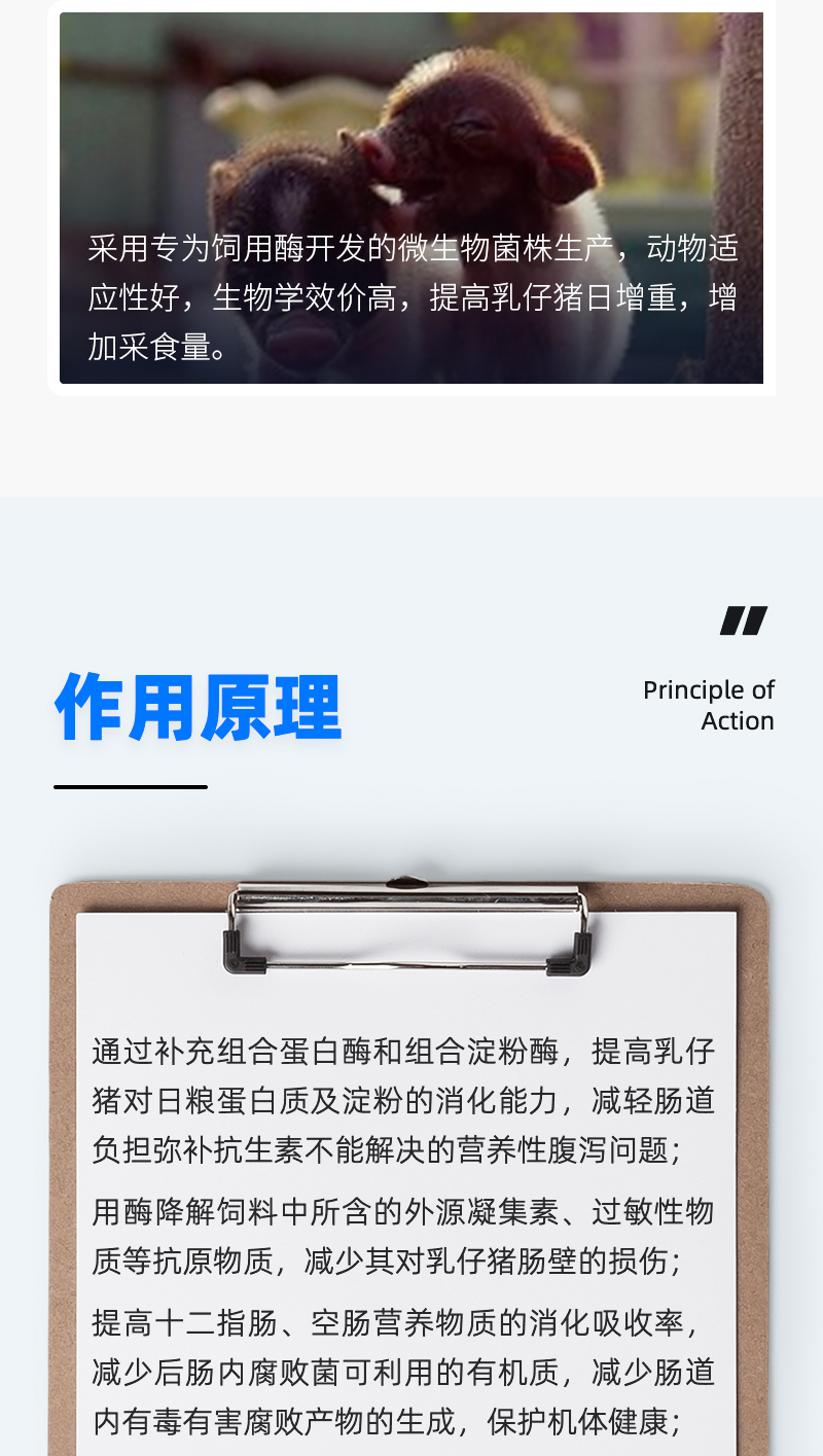 乳仔猪专用复合酶_05.jpg